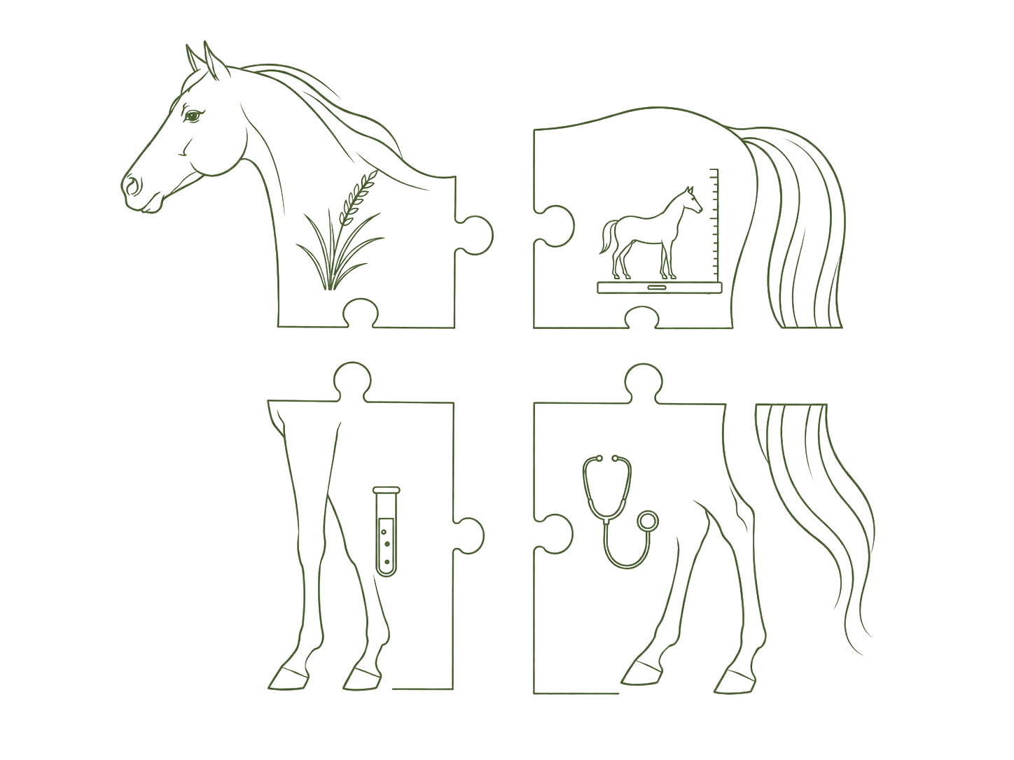 Vier puzzelstukken — paard, klinisch onderzoek, bloedanalyse en voeding — die samen één beeld vormen